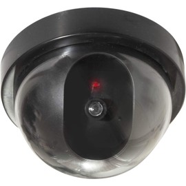 Eagle 'Santa Cam' Dummy Dome Surveillance Camera
