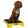 Cato Board - Dog Training Platform (Yellow, Rubber Surface)