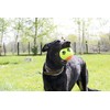 Aimé Dog Tennis Ball Maxi 10cm 0.222kg