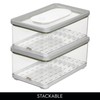 iDesign Large Fridge Produce Bin with Removable Drainage Tray and