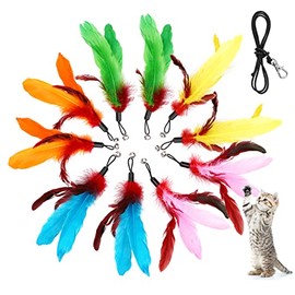 MeoHui 11PCS Cat Toys Wand Refills, Assorted Teaser Refills with Bell for Cat Feather Toys and Cat Teaser Toys, 10PCS Feather Replacements and 1PC Replacement String for Cat Wand