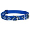 LupinePet Originals 1" Dapper Dog 15-22" Martingale Collar for Medium