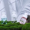 FNANJWQ 6Pcs 1oz/30ml Small Travel Spray Bottle Mini Fine Spray