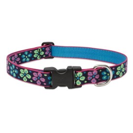 LupinePet Originals 1" Flower Power 12-20" Adjustable Collar for Medium and Larger Dogs