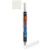 ColorRite 2Tip for Nissan Maxima Automotive Touch-up Paint - Chrome