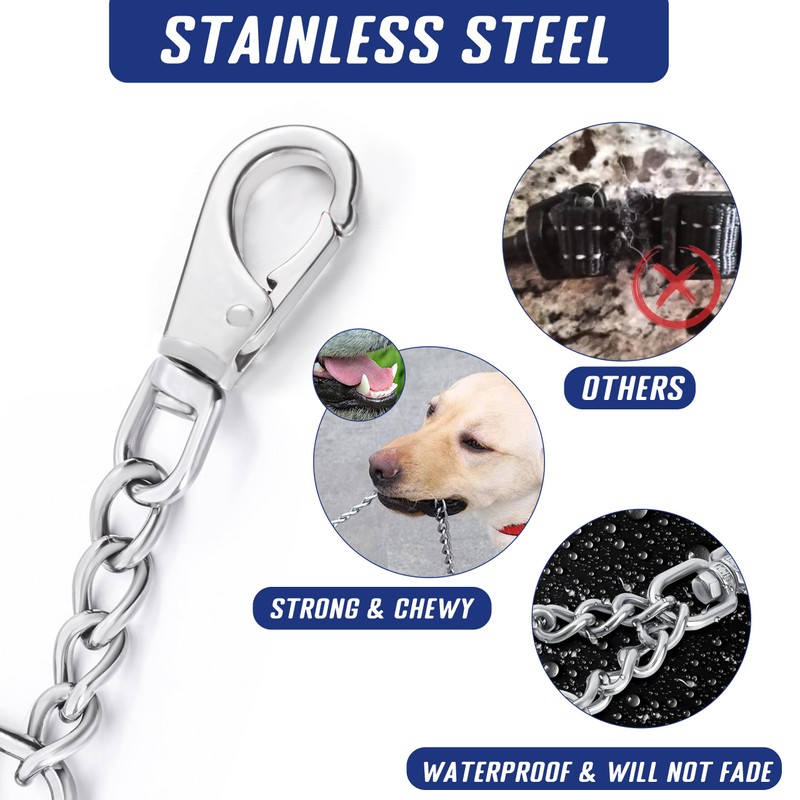 DEYACE Leash Backup with Dual Clasps Prong Collar Safety Clip