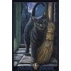 Lisa Parker Set of 4 - Magical Cats - 12x18