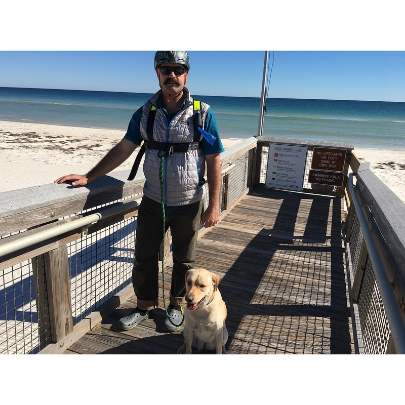 Hands Free Dog Harness