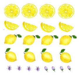 56 pcs Lemon Wall Decals Peel and Stick Vinyl for Kitchen Living Room Bathroom Classroom Decor,Lemon Stickers for Crafts,Lemonande Wall Stickers Kithcen Decor,Lemon Window Clings