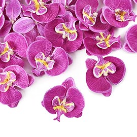 HUIANER 20PCS Artificial Butterfly Orchid Flower Heads, Fake Silk Phalaenopsis Heads for Wedding Floral Bouquet Decor DIY Craft Making Bridal Shower Photography Props (Purple)