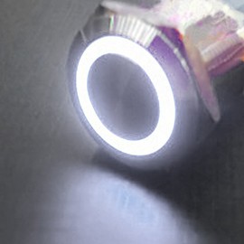 E Support 12V 5A Car White Angel Eye LED Light Lamp Momentary Metal Push Button Rocker Toggle Switch