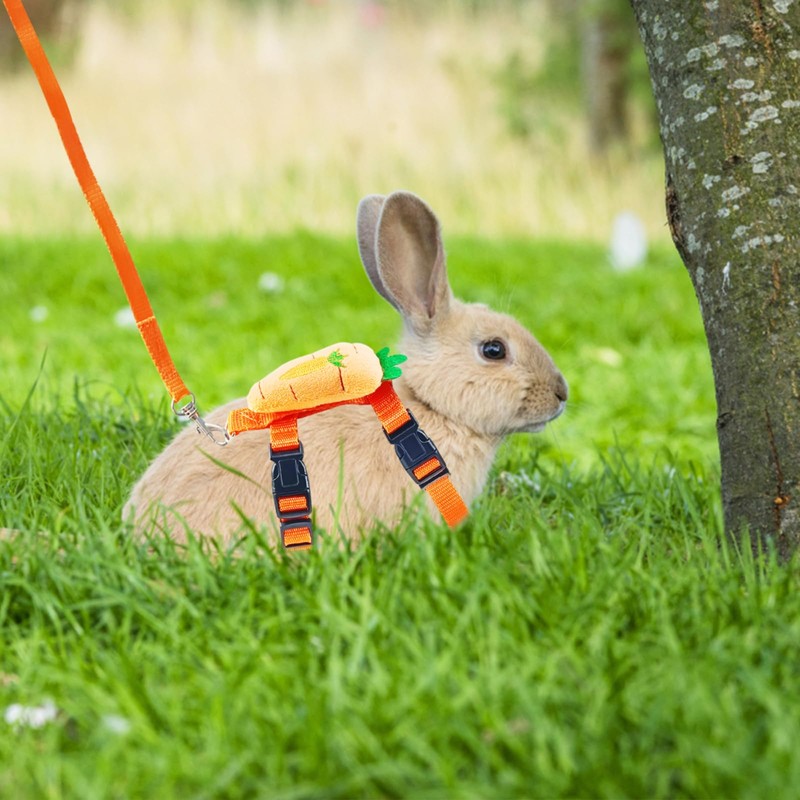 Bunny Harness and Leash for Rabbits,2 Pack Adjustable Bunny Harness,Cute
