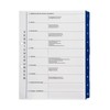 Subject Ring Binder with Tabs/Dividers - Insurance - Optimal Structure