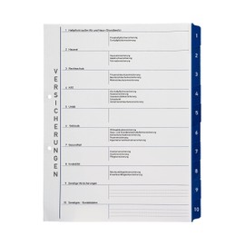 Subject Ring Binder with Tabs/Dividers - Insurance - Optimal Structure for Storing Insurance Documents
