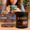HydraShot Café Soluble Cappuccino con Hongos Adaptógenos, 1 cucharada, Adicionado