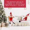 Elves Behaving Badly Long Leg Soft Body Vinyl face elf