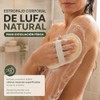 3 Estropajos Corporales de Lufa Natural con Banda Elástica (Paja)