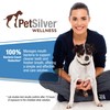 PetSilver Teeth & Gum Spray - Dog Dental & Teeth