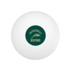Jacksonville University Dolphins Logo Novelty Table Tennis Ping Pong Ball