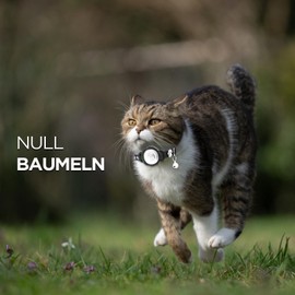 ONEONTA Cat Collar Airtag, Airtag Collar Cat Breakaway, Airtag Cat Reflective, Airtag Cat Collar with Airtag Case and Bell, Comfortable Padding, Adjustable, Durable, Blue, S