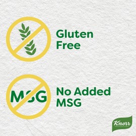 Knorr Professional 095 Chicken Stock Base Gluten Free, No added MSG, 0g Trans Fat, 1 lb, Pack of 12