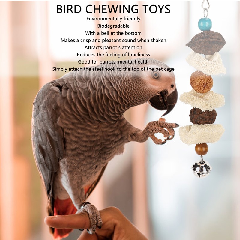 5PCS Parrot Cuttlebone Chew Toy Bite Resistant Corn Leaf Nuts