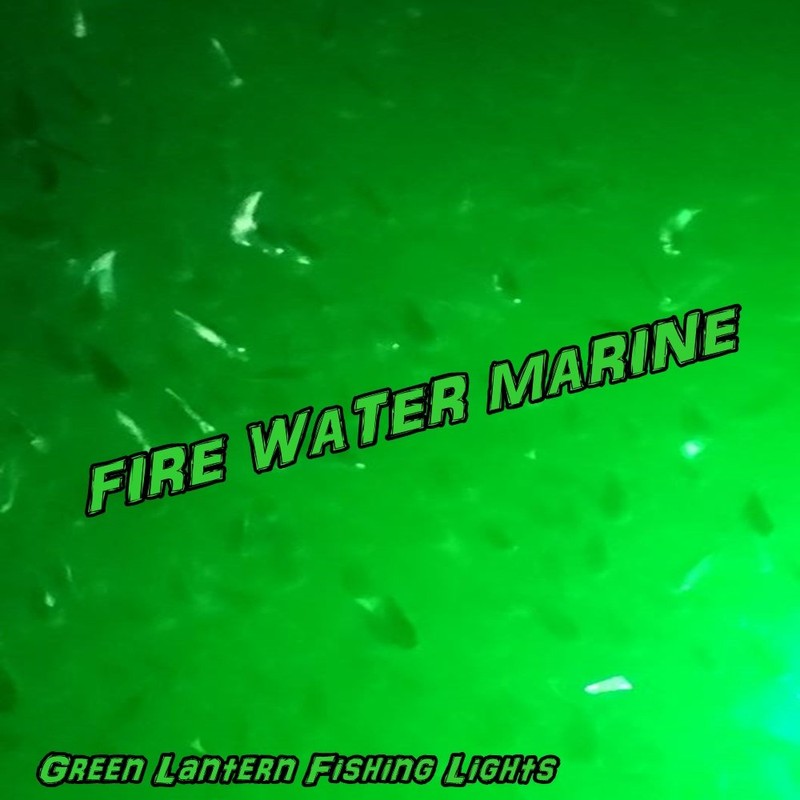 Fire Water Marine 12V LED White OR Blue Underwater Submersible