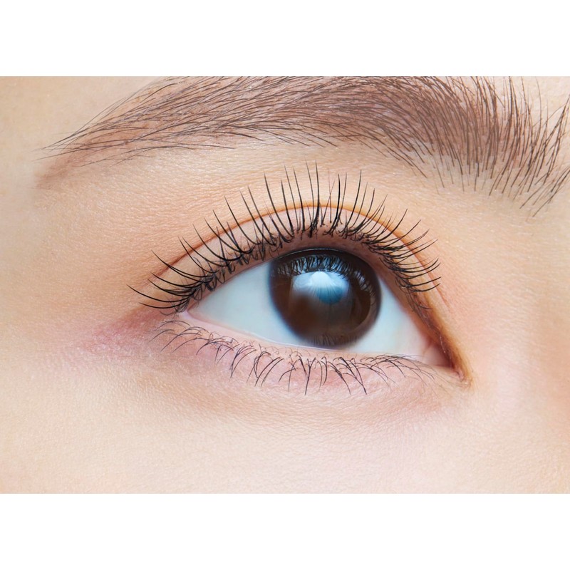 dejavu Dejavu Paint-on False Eyelashes Long Type Fiber Wig Ultra