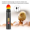LED Egg Hatching Test Light, High Intensity LED Chicken Egg