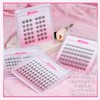 Wosheer False Eyelashes, Natural Style Cartoon Type False Eyelashes, Hard