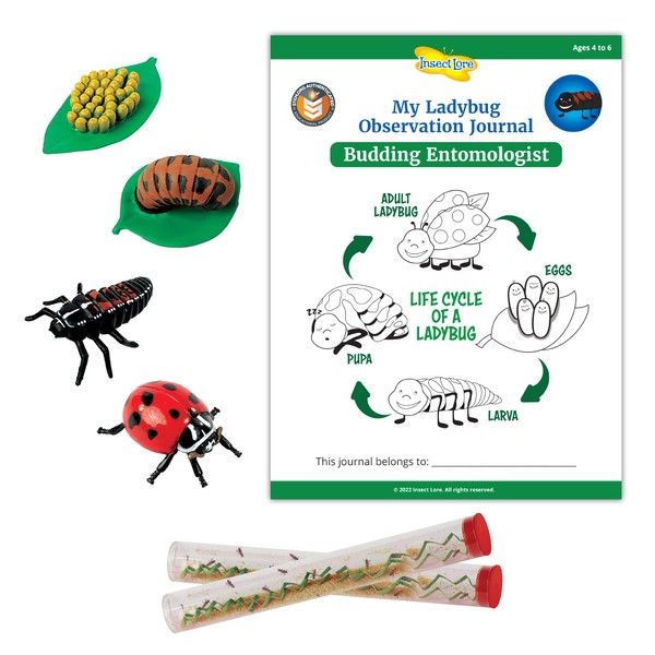 STEM Ladybug Activity Journal with Two Tubes of Ladybug Larvae and Ladybug Life Cycle Stages