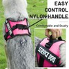 Belababy Soft No Pull Dog Harness X Small, Adjustable Assistance