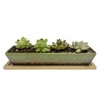 WISH HALLY WOOD 9.8inch green long rectangle Ceramic Succulent Planter