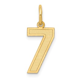 BillyTheTree Jewelry 14K Yellow Gold Medium Satin Number 7 Charm