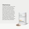 Momentous Vital Aminos Powder Supplement - BCAA & EAA -