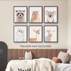 VOLIX Baby Safari Nursery Wall Decor - Picture Cute Animal