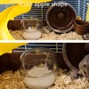 Hamster Sand Bathroom, Hamster Sandpit, Hamster Sand Bath, Hamster Sand