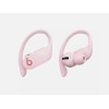 Beats by Dr. Dre Powerbeats Pro – Totally Wireless Bluetooth
