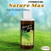bonballoon Nature Max Cyperus Oil Natural Cold Pressed Undiluted Premium