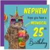 25th Nephew Birthday Card - Meowgical Cat Funny Nephew's Birthday