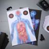 Hollowfly 50 Pack 23 x 35 Inch Shooting Range Targets