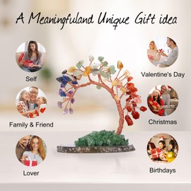 APSARAS USA Crystals and Healing Stones,17 Pcs Healing Crystal Set,7 Raw Chakra Stones Crystals Kit,Colorful Crystal Tree&Colorful Necklaces Bracelet