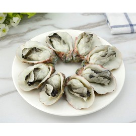 HTFGNC 8Pcs Artificial Oysters Shellfish Seafood Model Photography Prop for Home Kitchen Party Decoration (A)