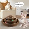 Kitten Foldable Scratch Ring Interactive Toy Ball Scratcher Kitten Easy