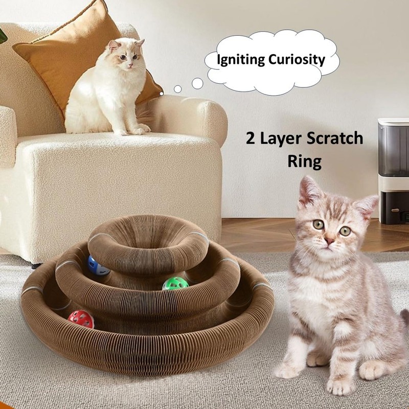 Kitten Foldable Scratch Ring Interactive Toy Ball Scratcher Kitten Easy