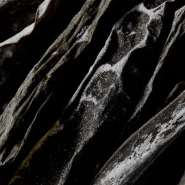 SHIRO Gome Kelp Serum, 2.4 fl oz (60 ml) (Without Box)