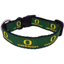 Collegiate Dog Collar (Medium, Oregon Ducks)
