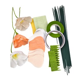 Crepe Paper pennoy Flower DIY Making Kit 24 pcs (Peach White Orange)