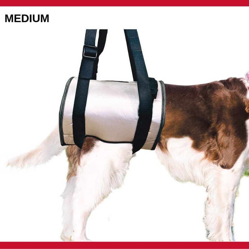 Mikki Dog, Puppy Helping Hands Dog Lifting Harness - Lift