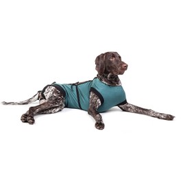 E-Collar Alternative for Cats and Dogs: After Surgey Wear. Recommended by Vets (XXX-Large, Bottle Green)